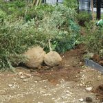 造園工事のイメージ画像